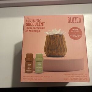 Bluzen Ceramic Succulent Planter with Essential Oils